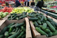 В России за неделю подорожали огурцы и куры