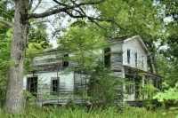 Власти займутся вопросами освоения заброшенных садовых участков