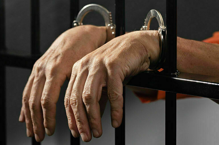 Напавший на журналистку «Аль-Джазиры» в Петербурге признал вину