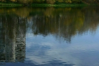 В Ростовской области очистят правый приток Дона 