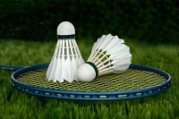 Россияне смогут выступать на турнирах по бадминтону в нейтральном статусе