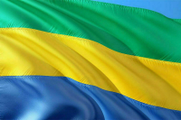 В Габоне назначен президент на переходный период