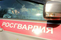 В Росгвардии раскрыли подробности захвата диверсантов в Брянской области