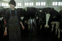 Возможности для прохождения альтернативной службы предложили расширить