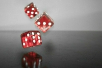 Минфин предложил игроманам запретить себе играть