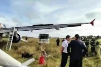 В «Уральских авиалиниях» уточнили число пассажиров экстренно севшего самолета