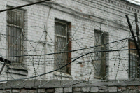 За контрабанду сигарет и алкоголя из ЕАЭС могут посадить в тюрьму