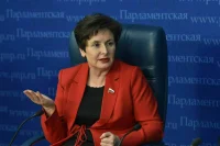 Разворотнева назвала способ предотвратить взрывы газа в домах