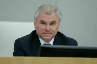 Володин поздравил членов ЦИК с 30-летием со дня ее образования