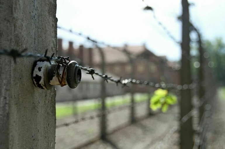 В Польше проверяют, участвовал ли эсэсовец Хунка в геноциде поляков