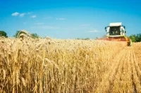Двойных призвал модернизировать аграрное образование