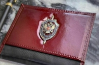 Против курганской активистки возбуждены два дела за призывы к свержению власти