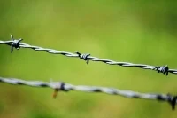 Al Jazeera: ХАМАС освободил из плена женщину с двумя детьми