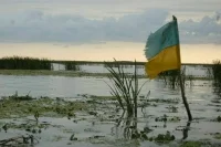 Азаров заявил об остром дефиците офицерского состава в ВСУ