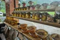 Правила оформления ветеринарных документов предложили уточнить