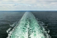 Столкнувшийся с судном с Украины сухогруз перевозил 25 тысяч тонн зерна