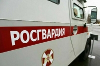 Трудовые права добровольцев Росгвардии защитят законом