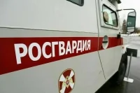 Трудовые права добровольцев Росгвардии защитят законом