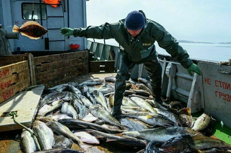 Рыбаки быстрее получат деньги на обновление флота