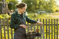 Сведения о фермерах предложили внести в реестр ИП