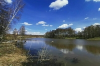 Госсистему состояния окружающей среды создадут по правилам