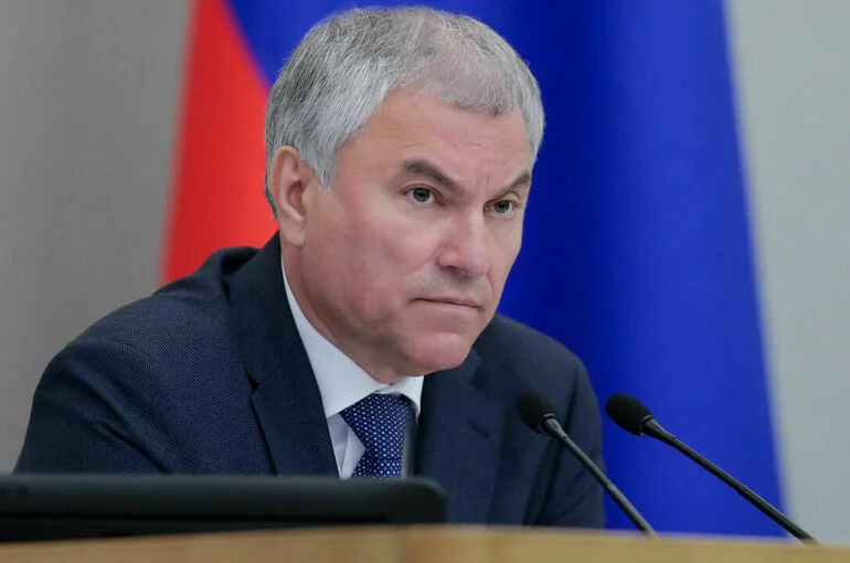 Вячеслав Володин: Займитесь преступниками, а бизнесу дайте спокойно работать