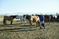 Фермерский бизнес внесут в реестр индивидуальных предпринимателей