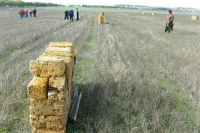 В Росреестре предложили снять барьеры для ввода земель в оборот