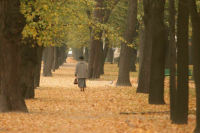 Москвичам пообещали около нуля градусов в четверг