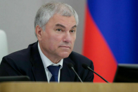 Володин: Госдума наградит почетной грамотой задержавшего грабителя пенсионера