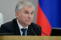 Володин: Госдума наградит почетной грамотой задержавшего грабителя пенсионера