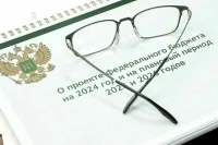 Бюджету предписано решить задачу по преодолению всех вызовов