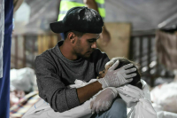 Число погибших в секторе Газа от ударов Израиля превысило семь тысяч человек