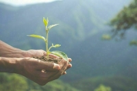 В закон «Об охране окружающей среды» предложено внести изменения
