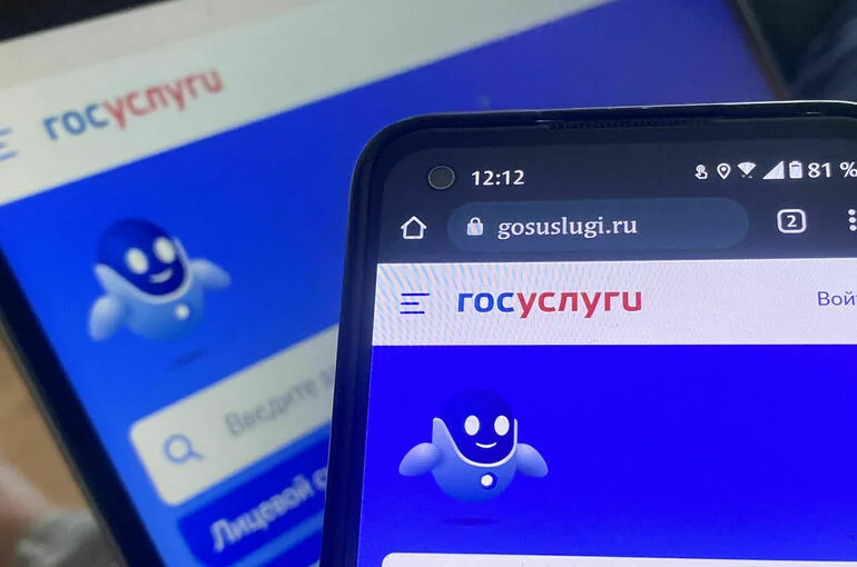 Шейкин рассказал о новой мошеннической схеме взлома госуслуг