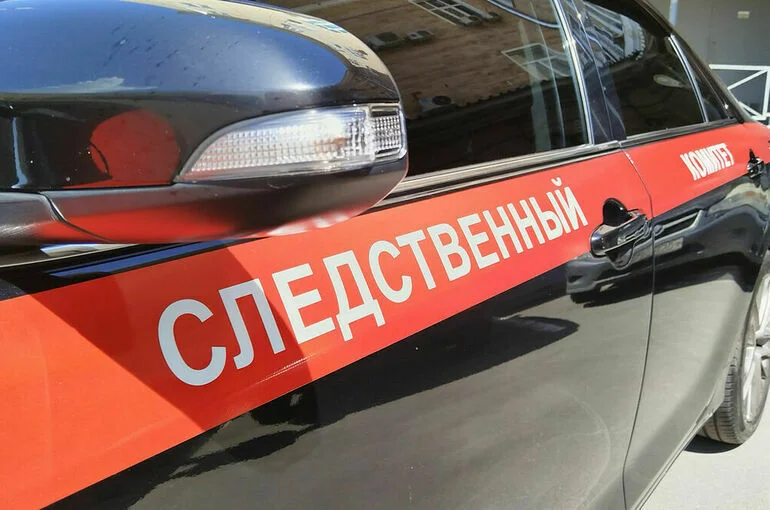 В Омской области убили пожилых мать и дочь