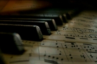 Эксперт перечислил типы «сиротских» произведений, которые защитит закон