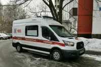 На Сахалине бродячие собаки напали на первоклассника