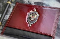  В Севастополе по подозрению в госизмене задержан россиянин