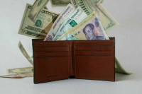 Гражданам и компаниям из дружественных стран упростят ведение бизнеса в РФ