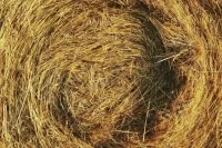 Вейпы и кальяны запретят курить на складах и сенокосах