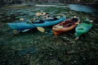 Двое из пяти потерявшихся у перевала Дятлова туристов вышли на связь