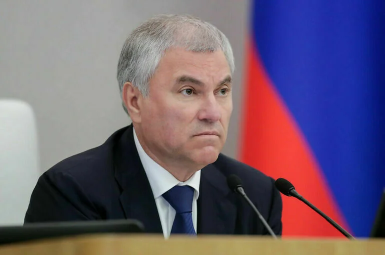 Володин проводит опрос о запрете использования мобильных телефонов на уроках