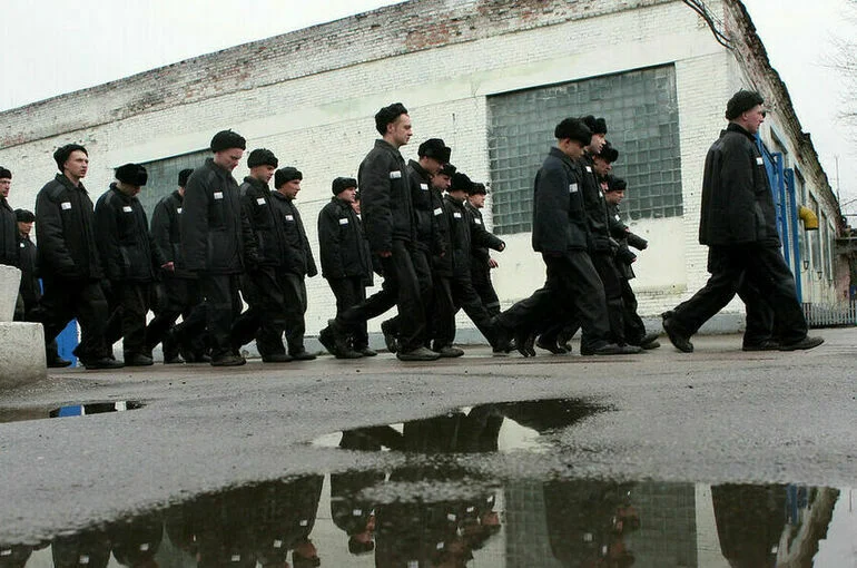 Подпольных золотоискателей посадят в тюрьму
