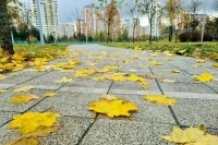 Москвичам рассказали о погоде в воскресенье