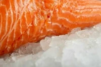 На Камчатке поддержали эксперимент по передаче конфискованной рыбы собакам