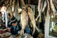 Россияне могут остаться без астраханской воблы