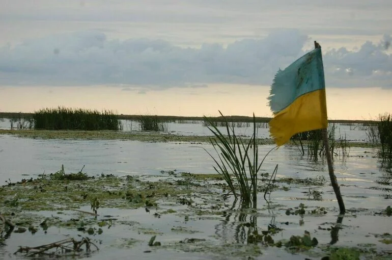 Зеленский заявил о планах Украины продолжить наступление