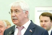 Чепа считает, что в ЕС передумали конфисковывать авто россиян из-за репутации