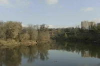 В Подмосковье обрушился мост через реку Пахра